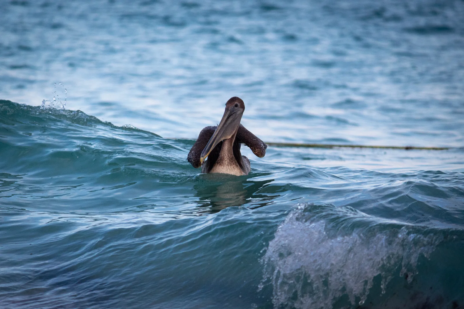 nature photography by JRMGraphy